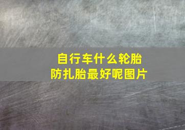 自行车什么轮胎防扎胎最好呢图片