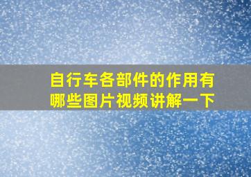 自行车各部件的作用有哪些图片视频讲解一下