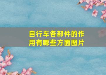 自行车各部件的作用有哪些方面图片