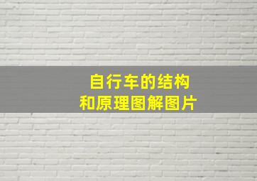 自行车的结构和原理图解图片