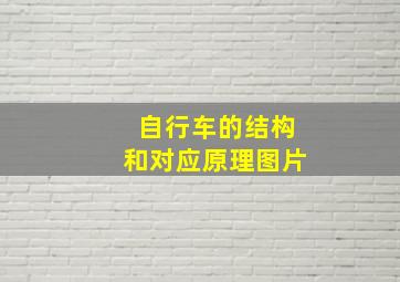 自行车的结构和对应原理图片