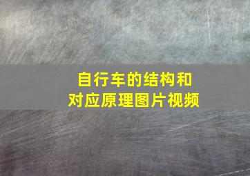 自行车的结构和对应原理图片视频