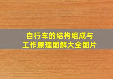 自行车的结构组成与工作原理图解大全图片