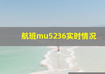 航班mu5236实时情况