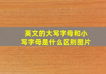 英文的大写字母和小写字母是什么区别图片