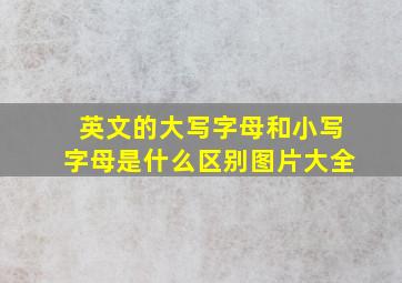 英文的大写字母和小写字母是什么区别图片大全