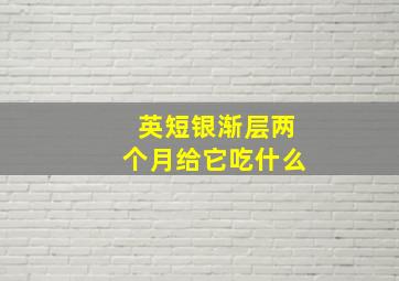 英短银渐层两个月给它吃什么