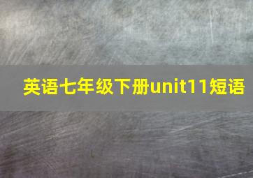 英语七年级下册unit11短语