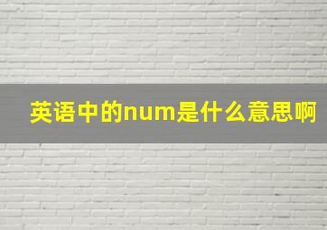 英语中的num是什么意思啊