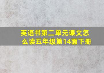 英语书第二单元课文怎么读五年级第14面下册