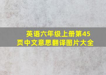 英语六年级上册第45页中文意思翻译图片大全