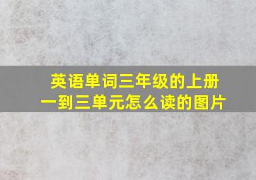 英语单词三年级的上册一到三单元怎么读的图片