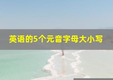 英语的5个元音字母大小写