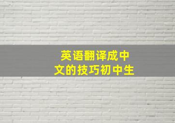 英语翻译成中文的技巧初中生