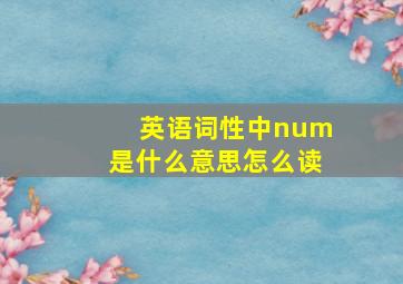 英语词性中num是什么意思怎么读