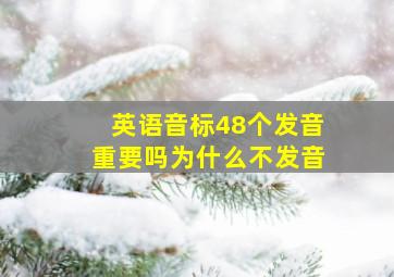 英语音标48个发音重要吗为什么不发音