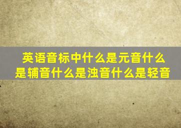 英语音标中什么是元音什么是辅音什么是浊音什么是轻音