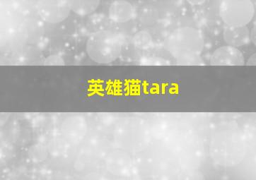 英雄猫tara