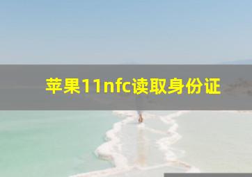 苹果11nfc读取身份证