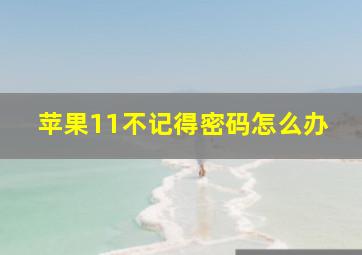 苹果11不记得密码怎么办