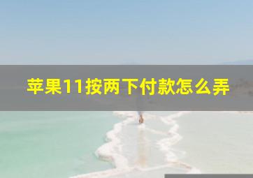 苹果11按两下付款怎么弄