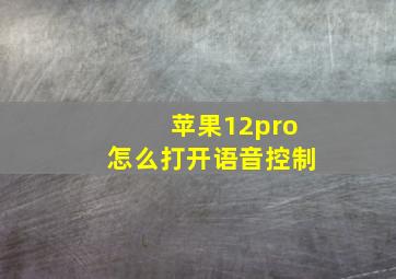 苹果12pro怎么打开语音控制