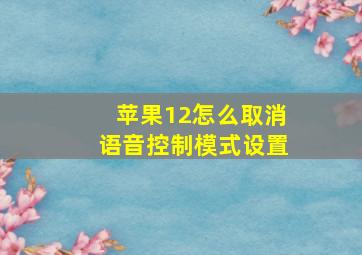 苹果12怎么取消语音控制模式设置