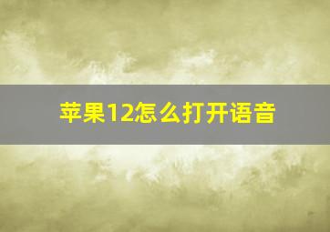 苹果12怎么打开语音