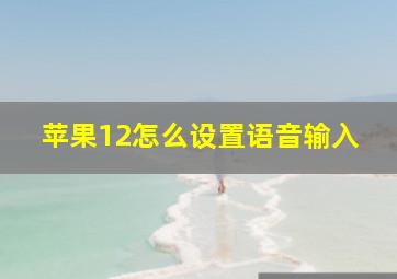 苹果12怎么设置语音输入