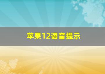 苹果12语音提示