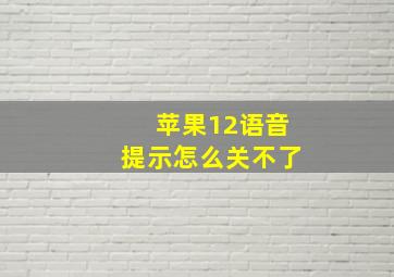 苹果12语音提示怎么关不了