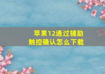 苹果12通过辅助触控确认怎么下载