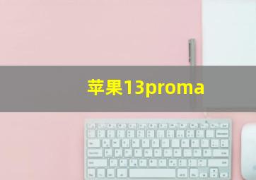 苹果13proma