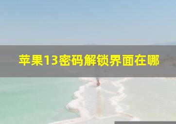 苹果13密码解锁界面在哪