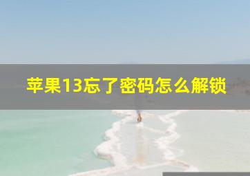 苹果13忘了密码怎么解锁