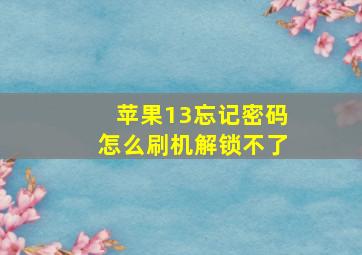 苹果13忘记密码怎么刷机解锁不了