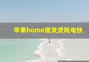 苹果home键发烫耗电快