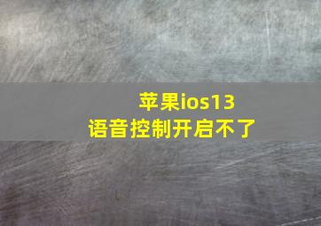 苹果ios13语音控制开启不了