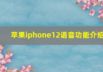 苹果iphone12语音功能介绍