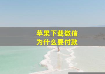 苹果下载微信为什么要付款