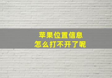 苹果位置信息怎么打不开了呢