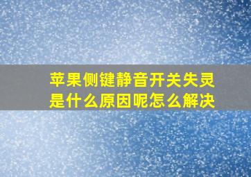 苹果侧键静音开关失灵是什么原因呢怎么解决