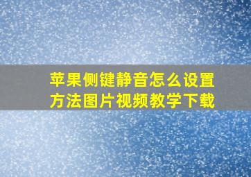 苹果侧键静音怎么设置方法图片视频教学下载