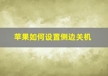 苹果如何设置侧边关机