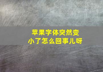 苹果字体突然变小了怎么回事儿呀