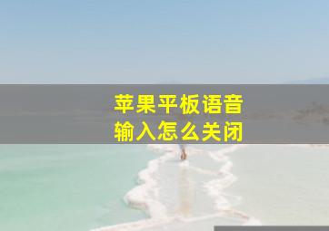 苹果平板语音输入怎么关闭