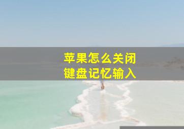 苹果怎么关闭键盘记忆输入