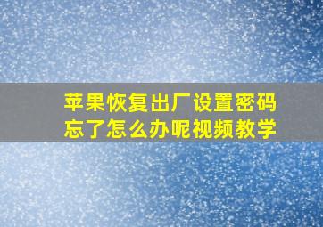 苹果恢复出厂设置密码忘了怎么办呢视频教学