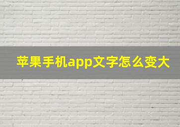 苹果手机app文字怎么变大