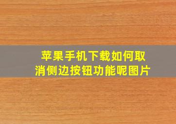 苹果手机下载如何取消侧边按钮功能呢图片